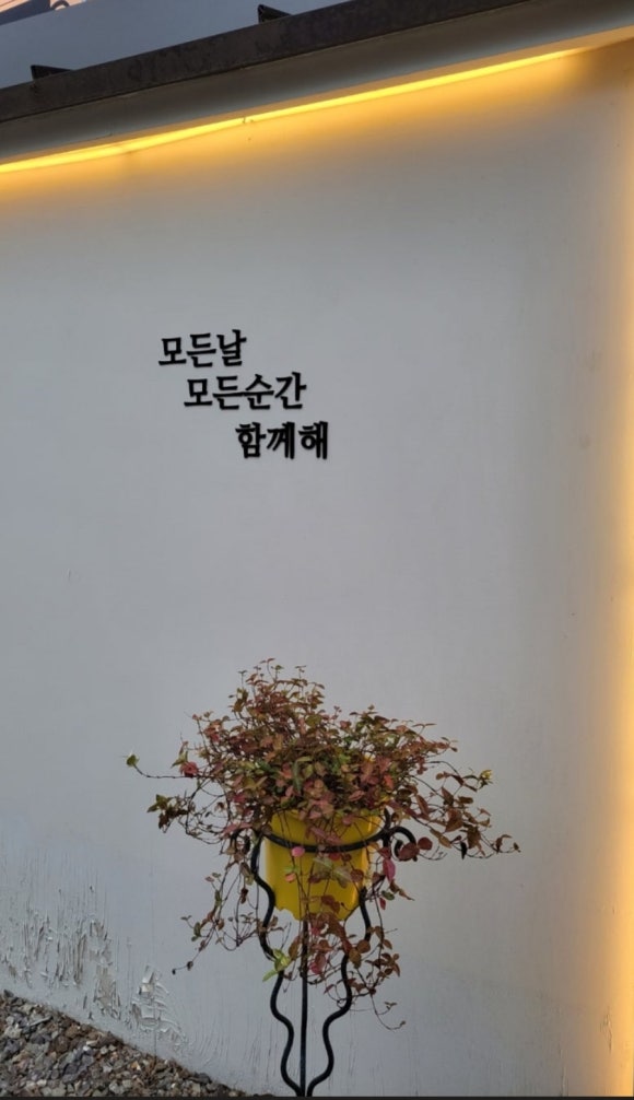45st. 이미지