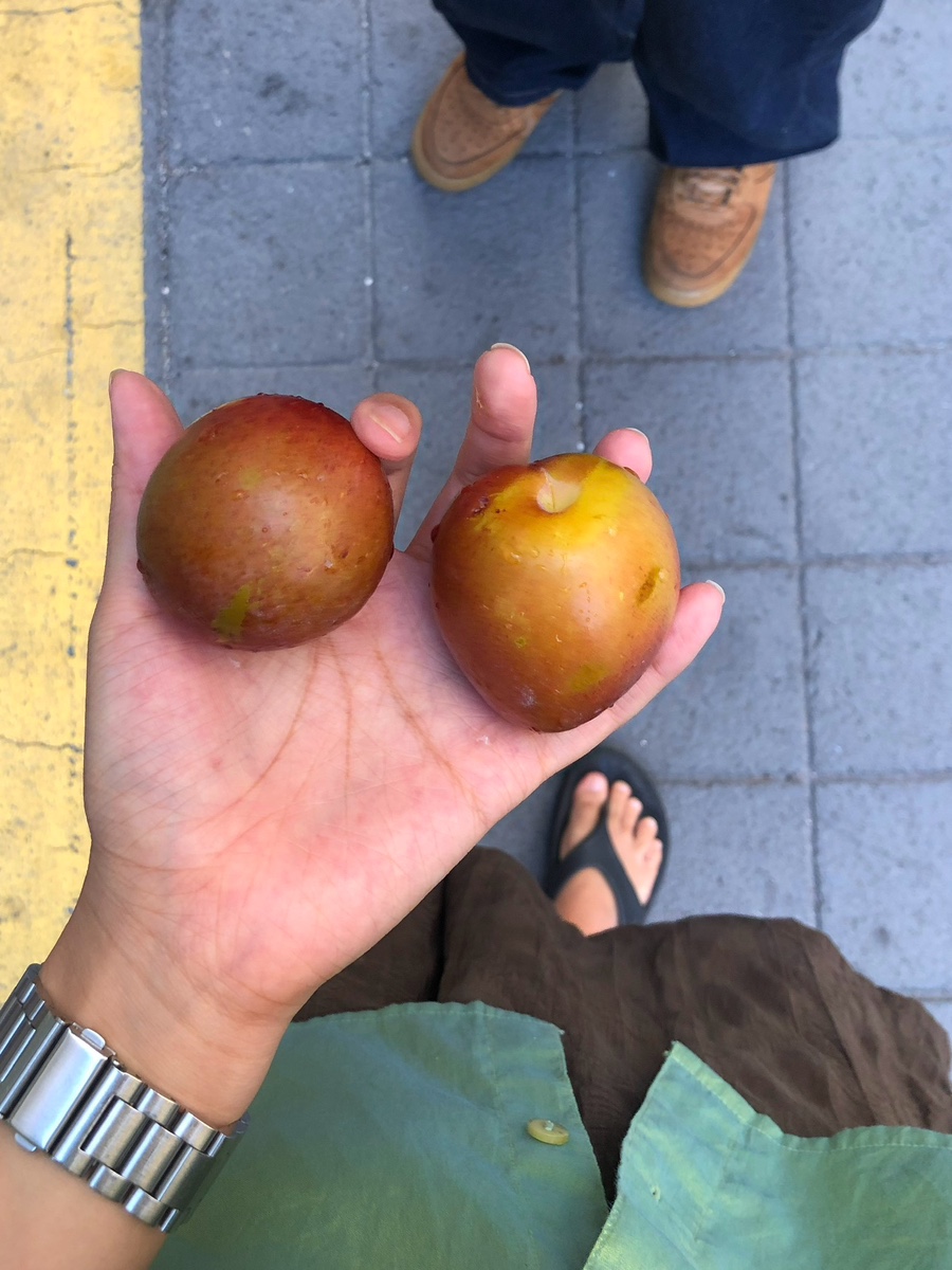 렌더링커피(RENDERING COFFEE) 이미지