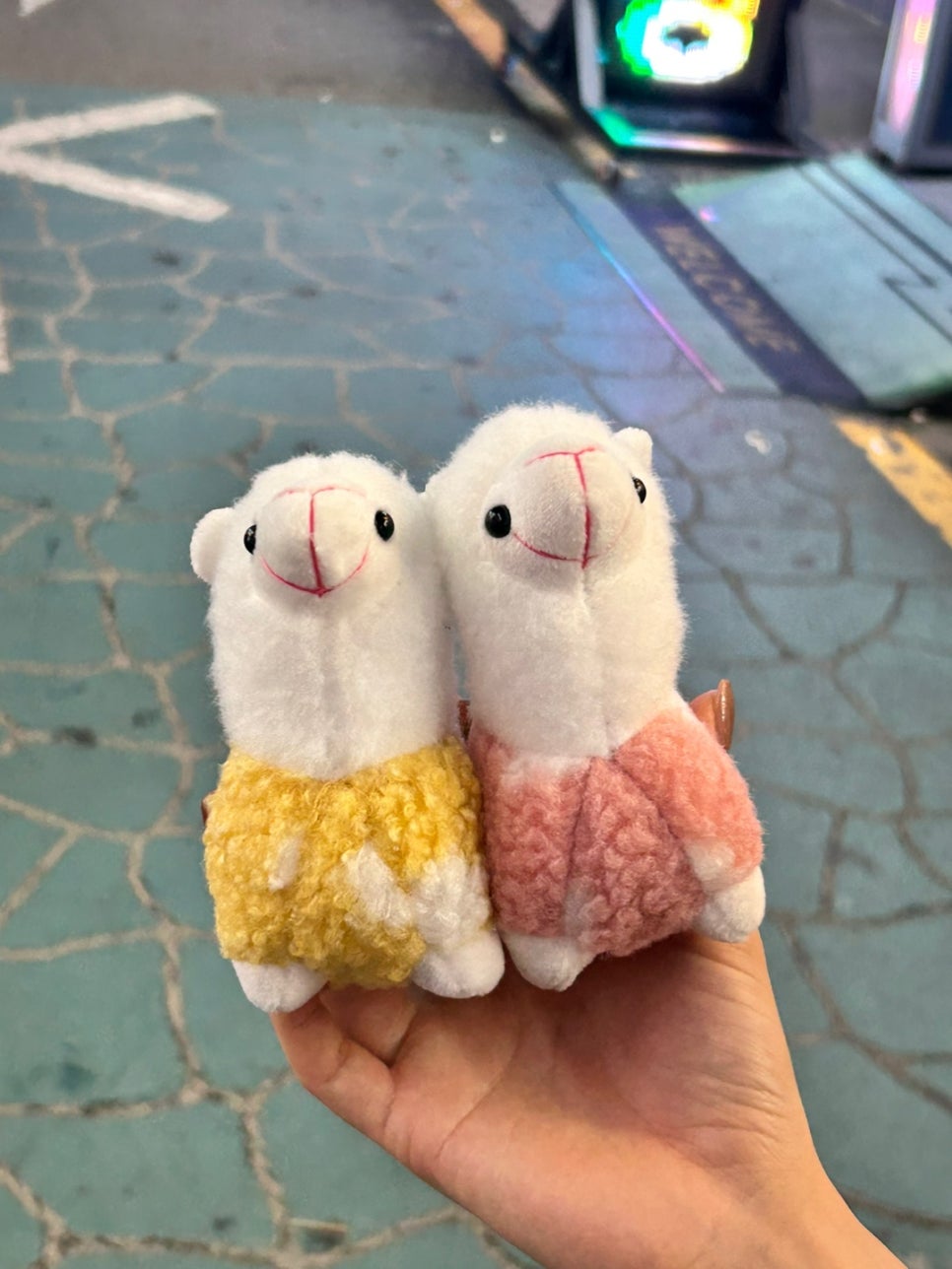 이자카야토라 이미지