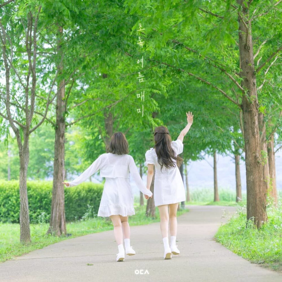 주식회사 에이치오이엔티 이미지