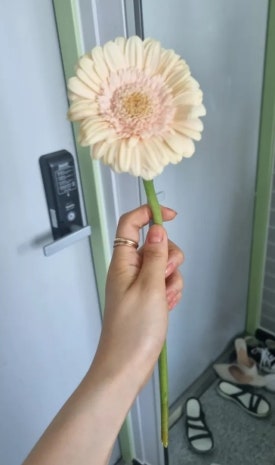 오빠짐스튜디오 이미지