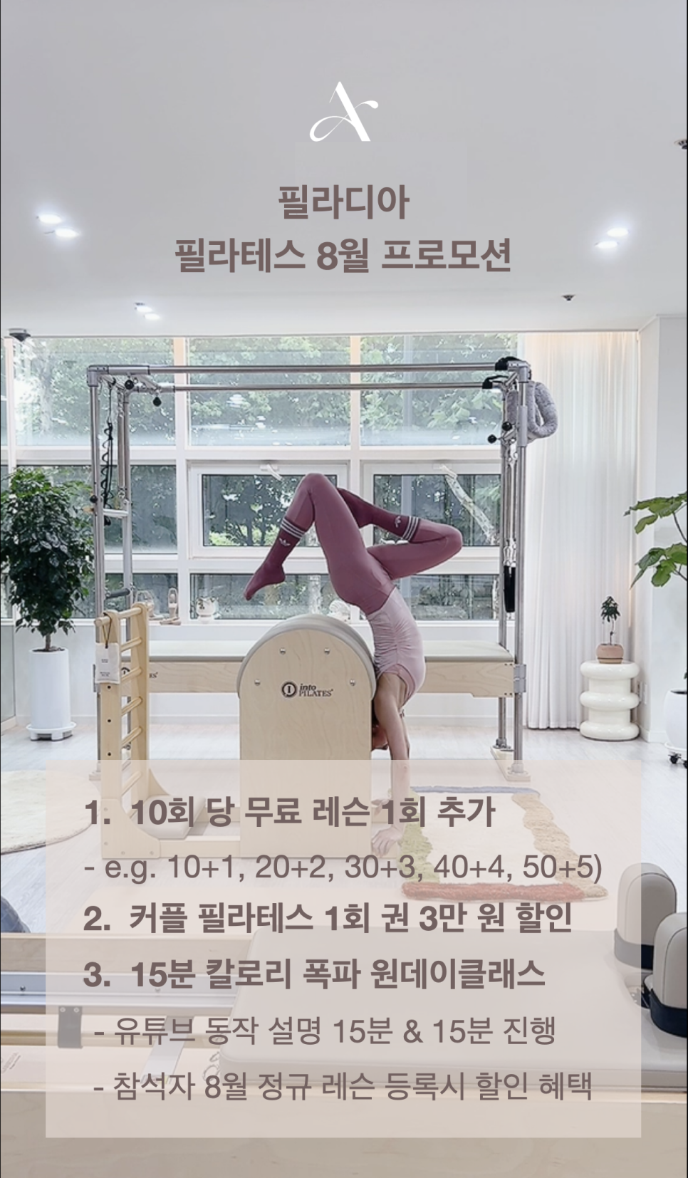 필라디아 이미지