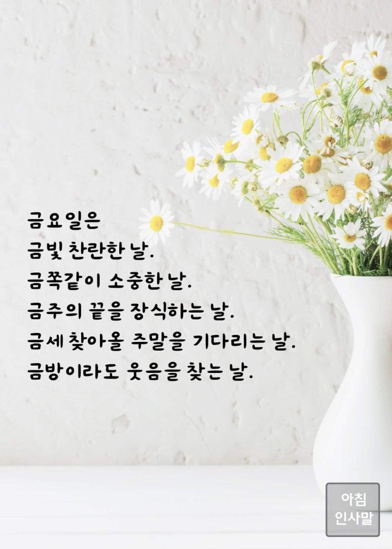 금빛찬란 이미지