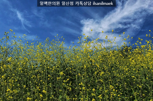 화성건해 이미지