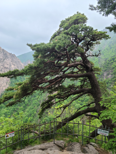 속초산책 이미지