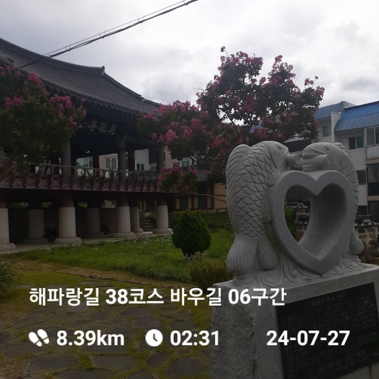 해파랑길 38코스 바우길 06구간 이미지