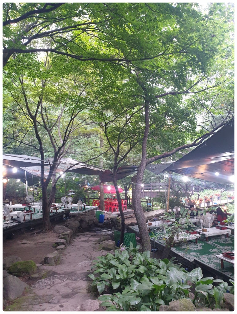 행복한맛집 이미지