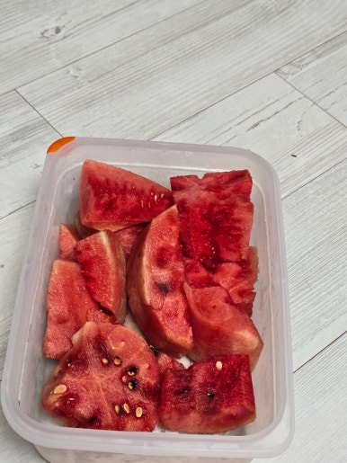 공주숲클라이밍짐 이미지