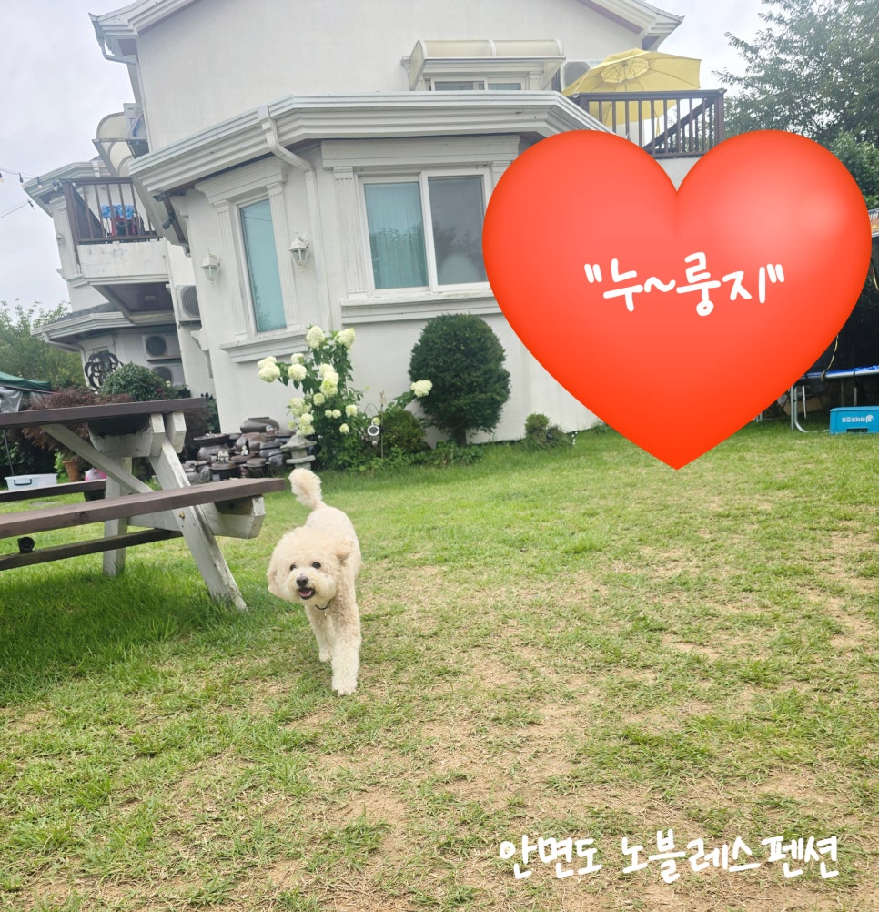 노블레스팬션 이미지
