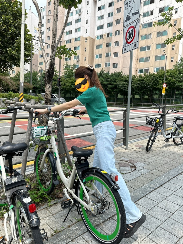 카츠와이찌 이미지