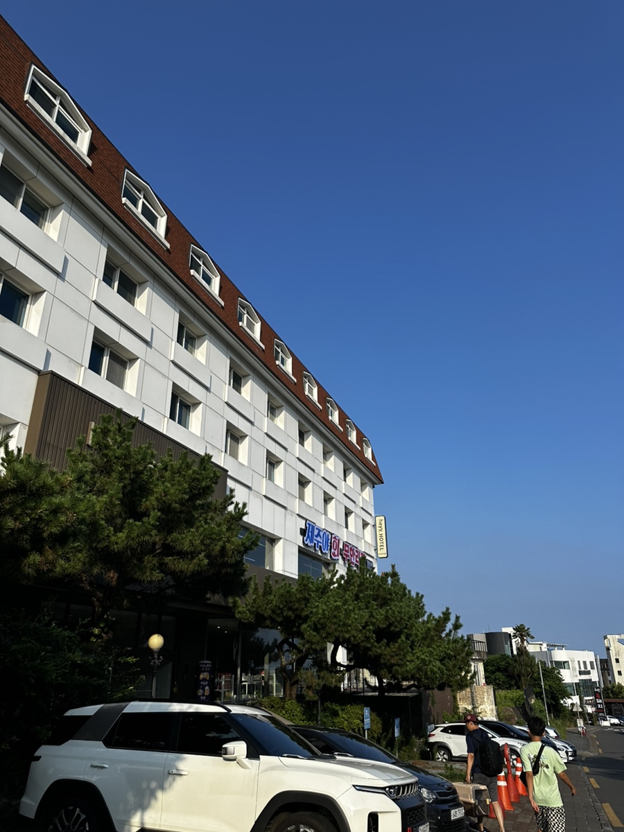 제주야회 이미지