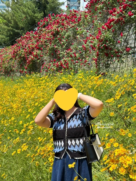 초록별음악학원 이미지
