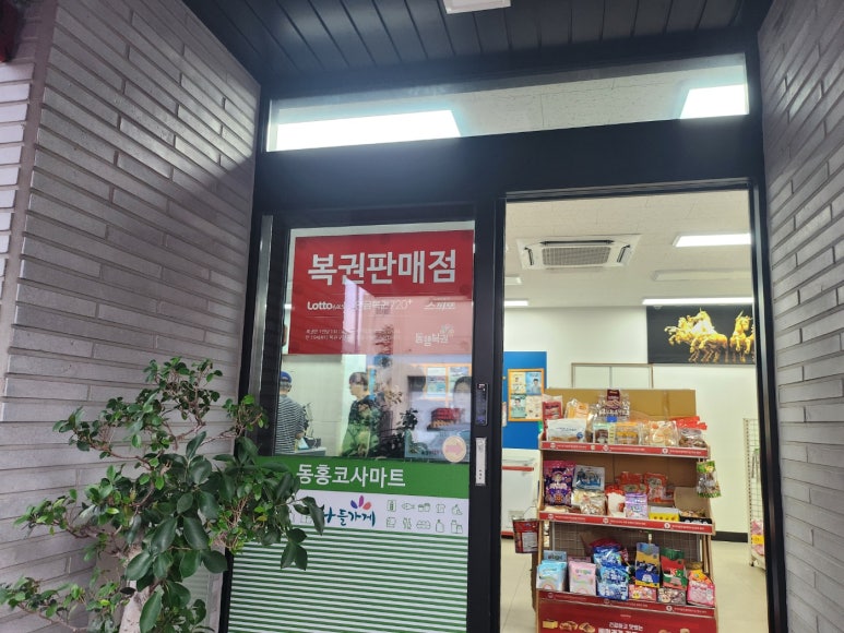 코사우리마트 이미지