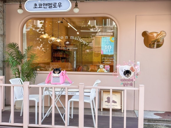 초코앤멜로우 이미지