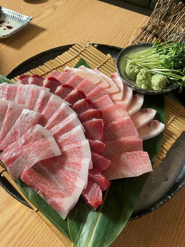 요이참치 이미지