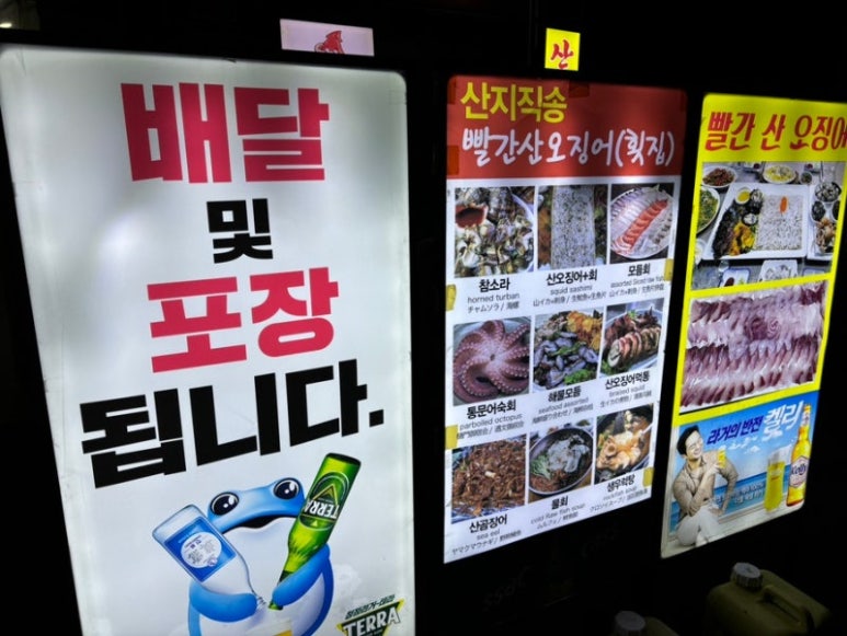 빨간산오징어 이미지