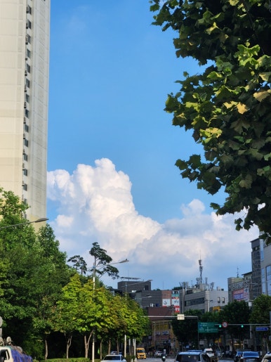 아담만두(잠실새내) 이미지
