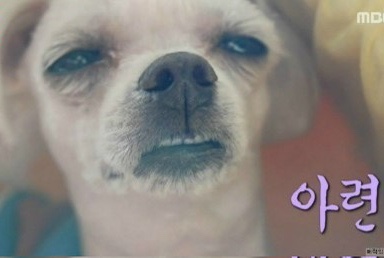 이모든여행 이미지