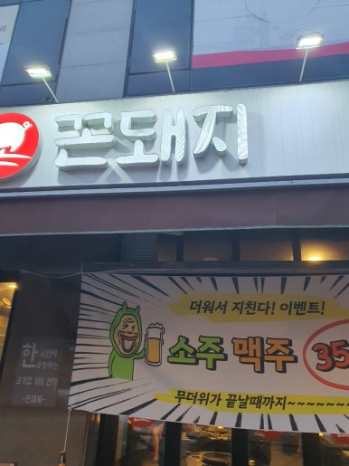 꼰돼지 이미지