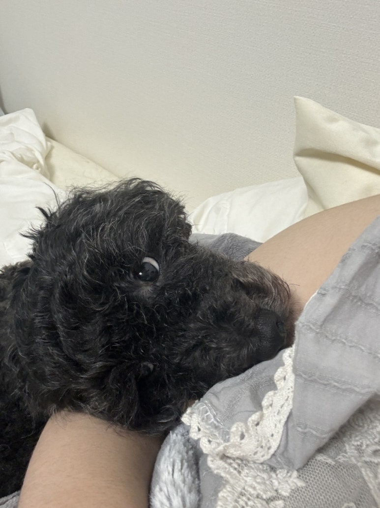 화락바베큐치킨 김포구래점 이미지