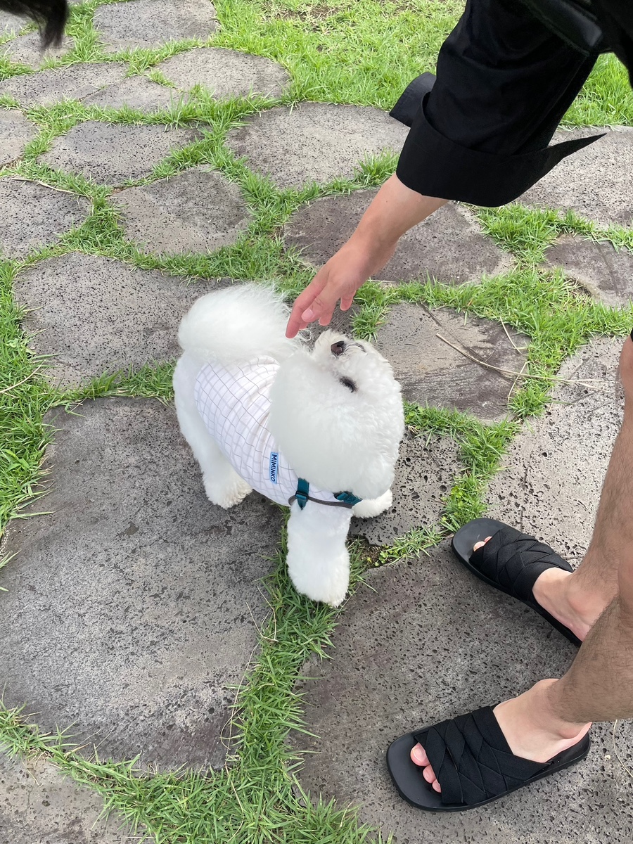 스마일앤조이 이미지