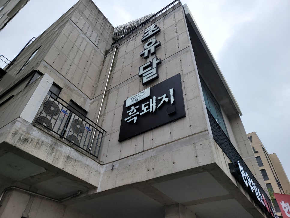 초유달 이미지