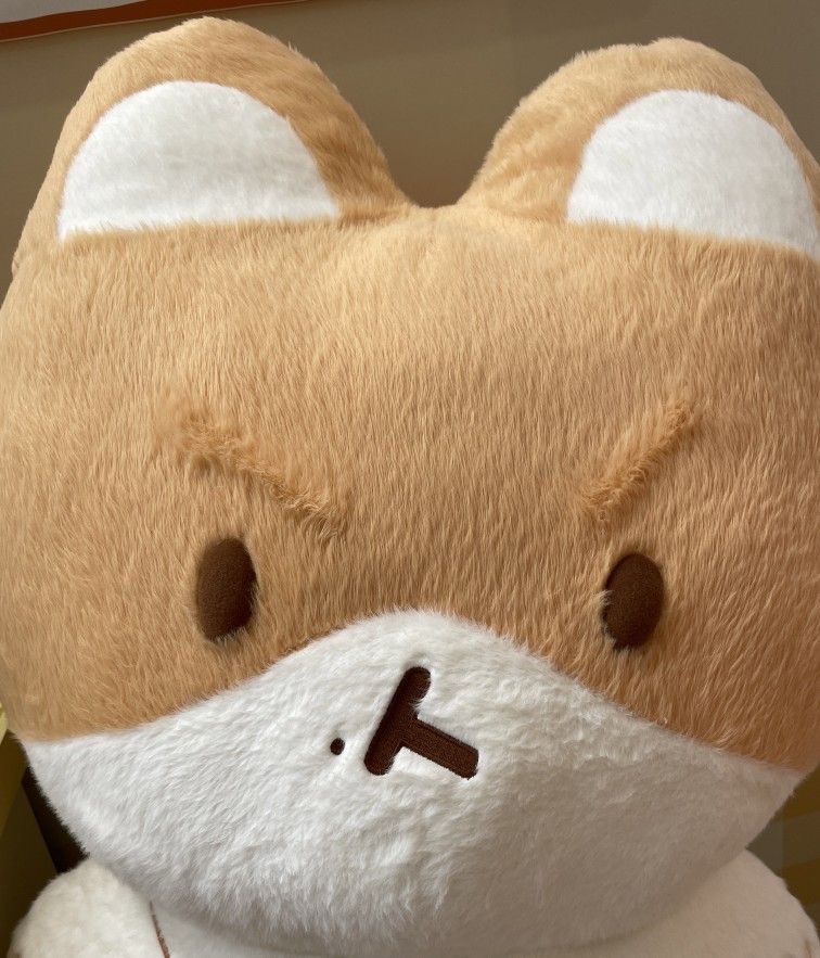 오후반차 이미지