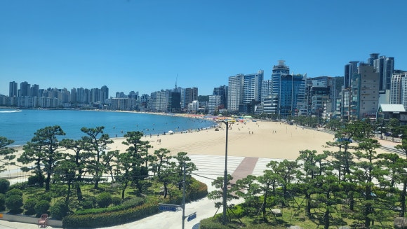 뉴턴전자담배부산 이미지