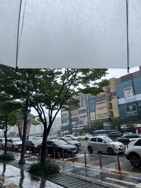 롯데리아 대전목원대점 이미지
