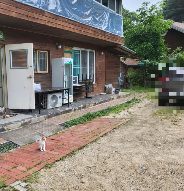 클럽아일랜드글램핑카라반 이미지
