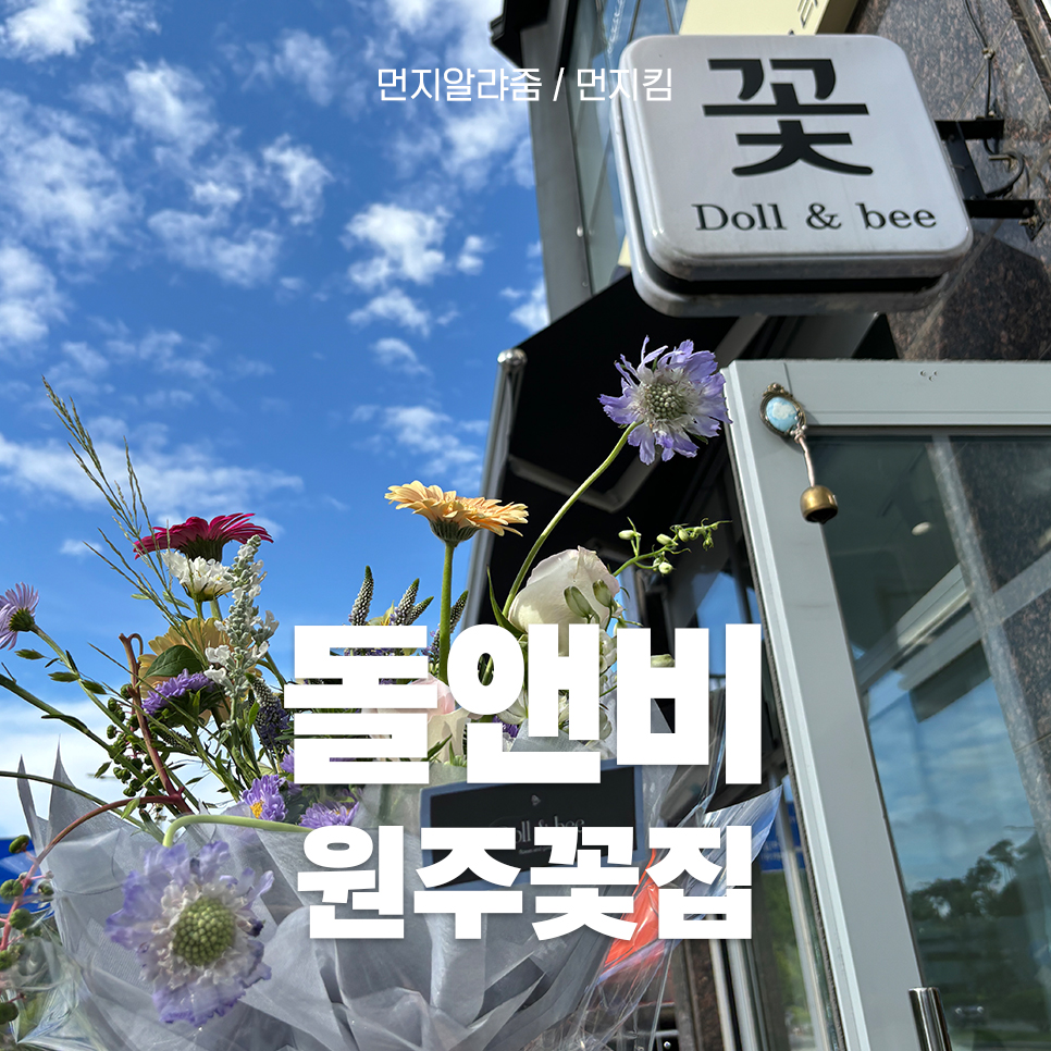 돌앤비 이미지