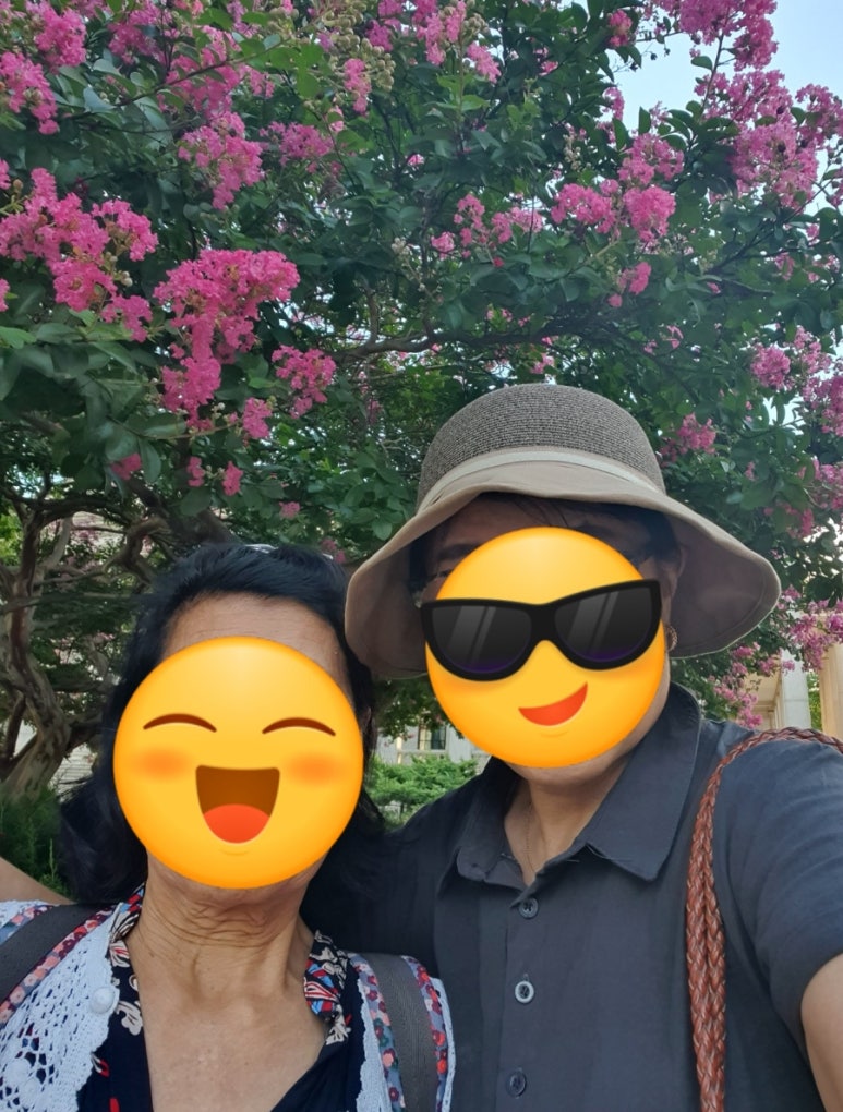 새들기획 이미지