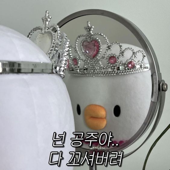알레그라피 이미지