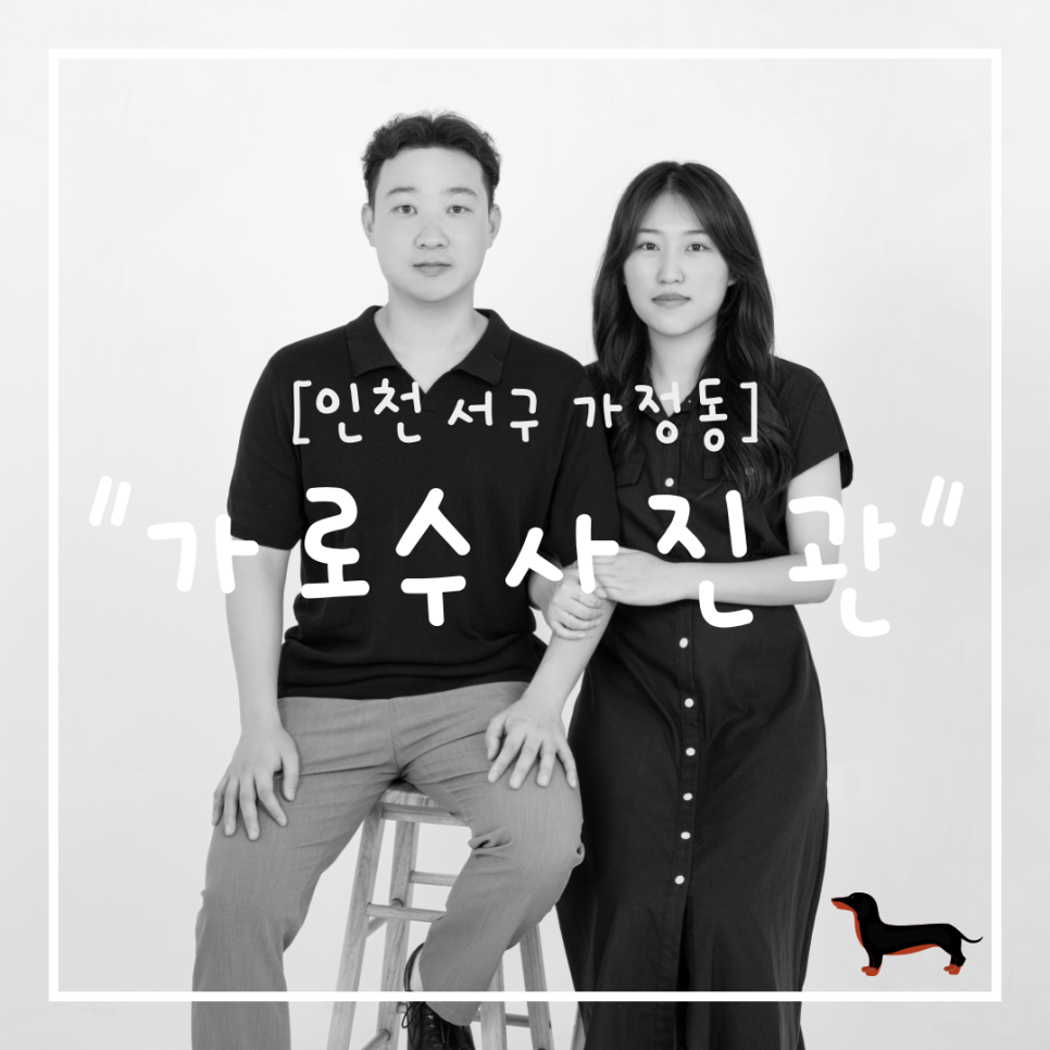 가로수사진관 이미지