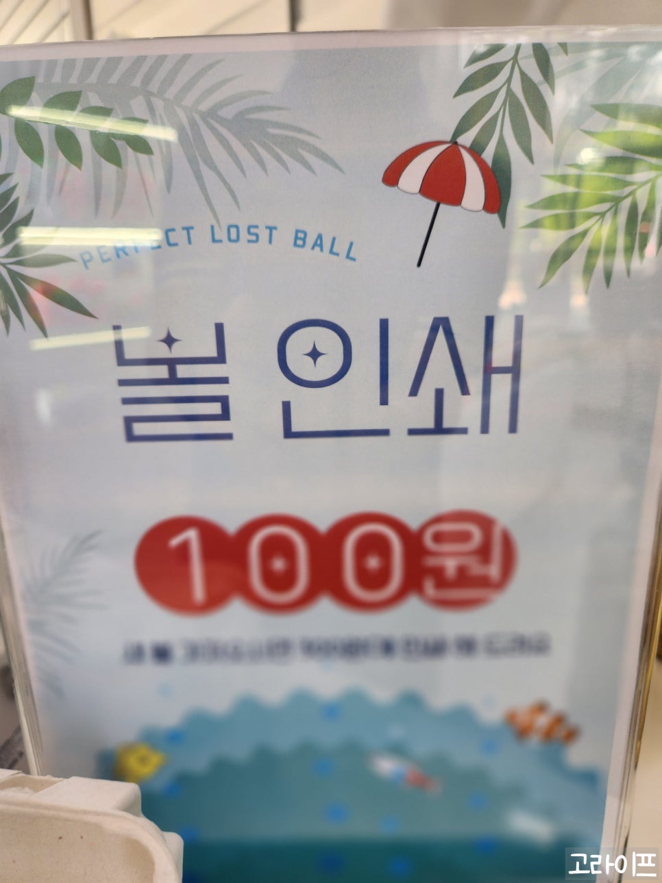 퍼펙트로스트볼안산 이미지