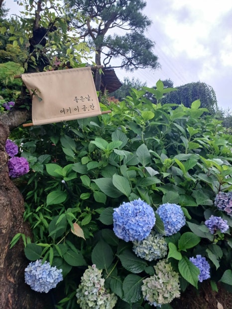 카페지구공 이미지
