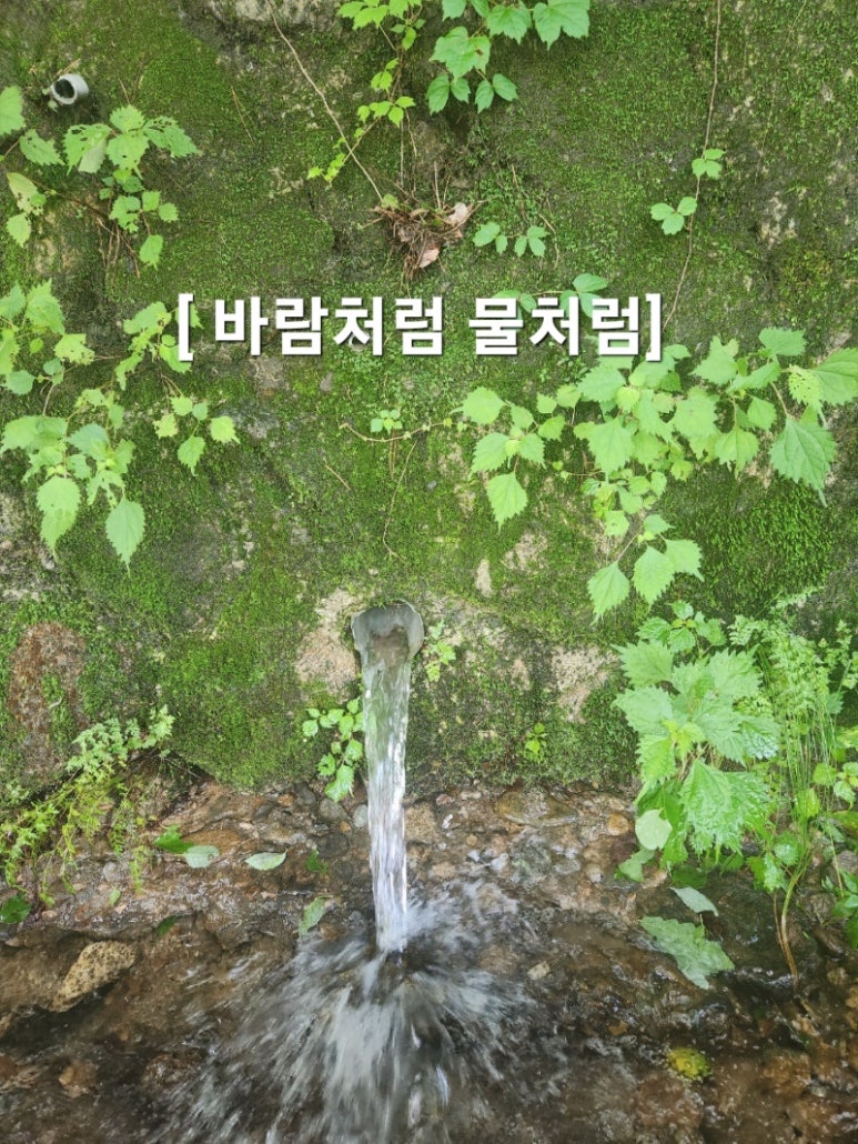 또와또무도학원 이미지