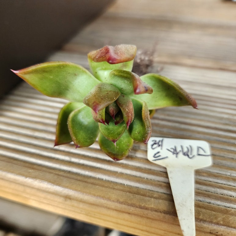 마빈스 이미지