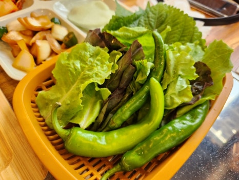 돼지가그냥조아 이미지