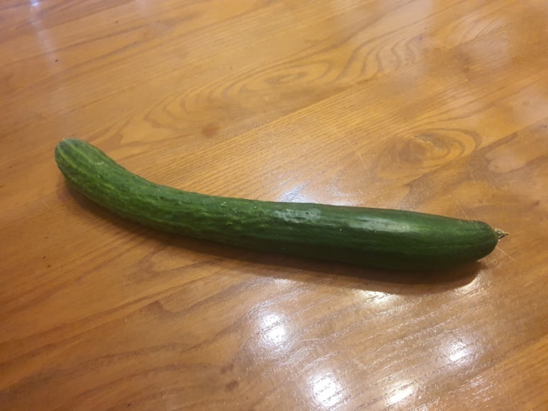 태영텔레콤 이미지