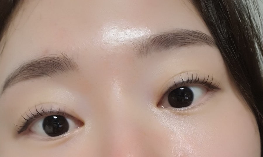 다뷰래쉬 이미지