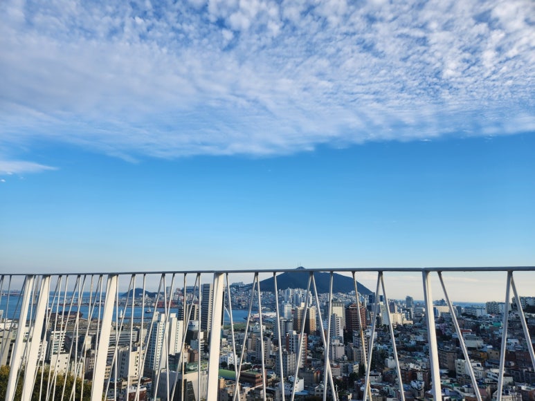 한빛행정사사무소 이미지