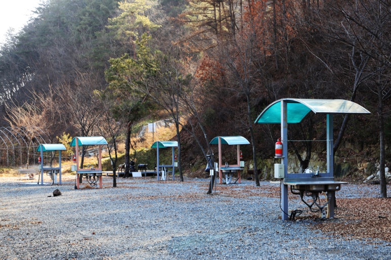 솔밭체육공원 오토캠핑장 이미지