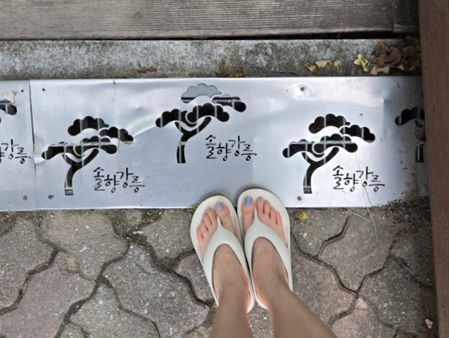 경포2호 이미지