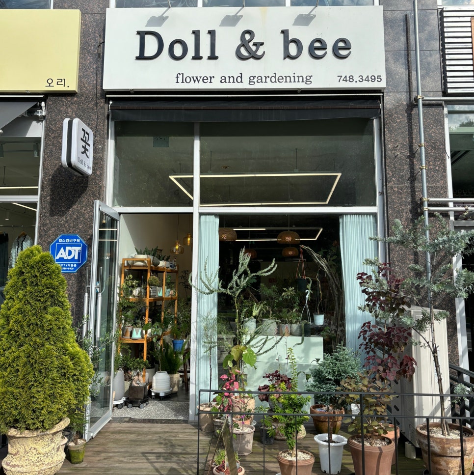 돌앤비 이미지