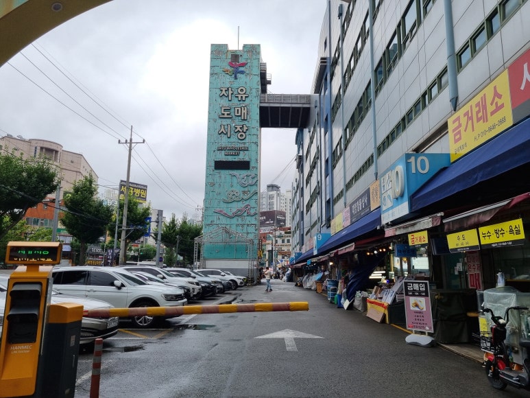 틸다블루자유 이미지
