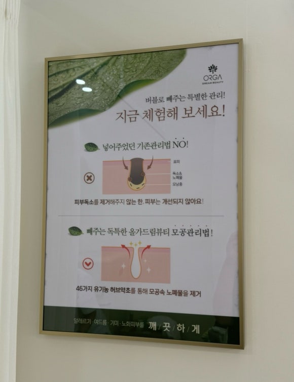 올가드림뷰티문수로점 이미지