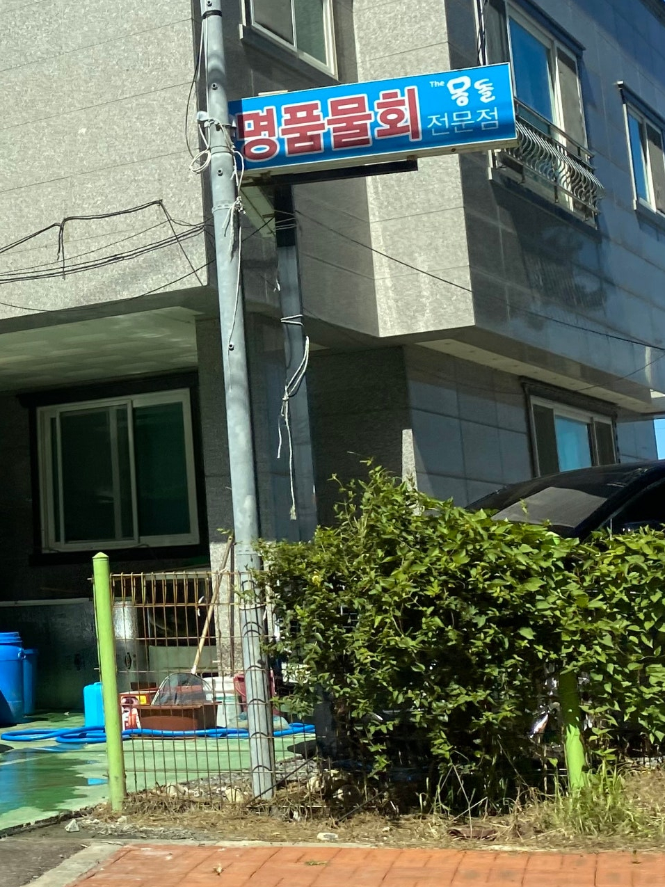 더몽돌물회 이미지
