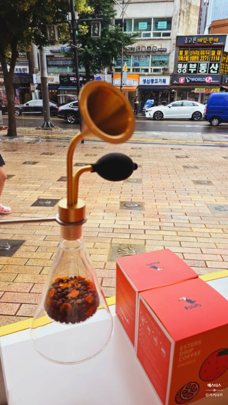 에스터스명보아트홀점 이미지