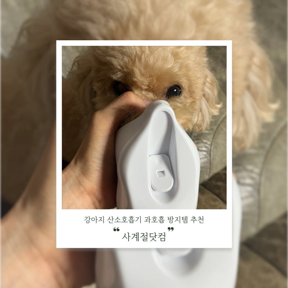 캔닷컴 이미지